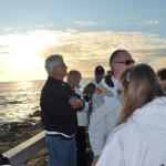 Cambria_0189 (November 05, 2011)